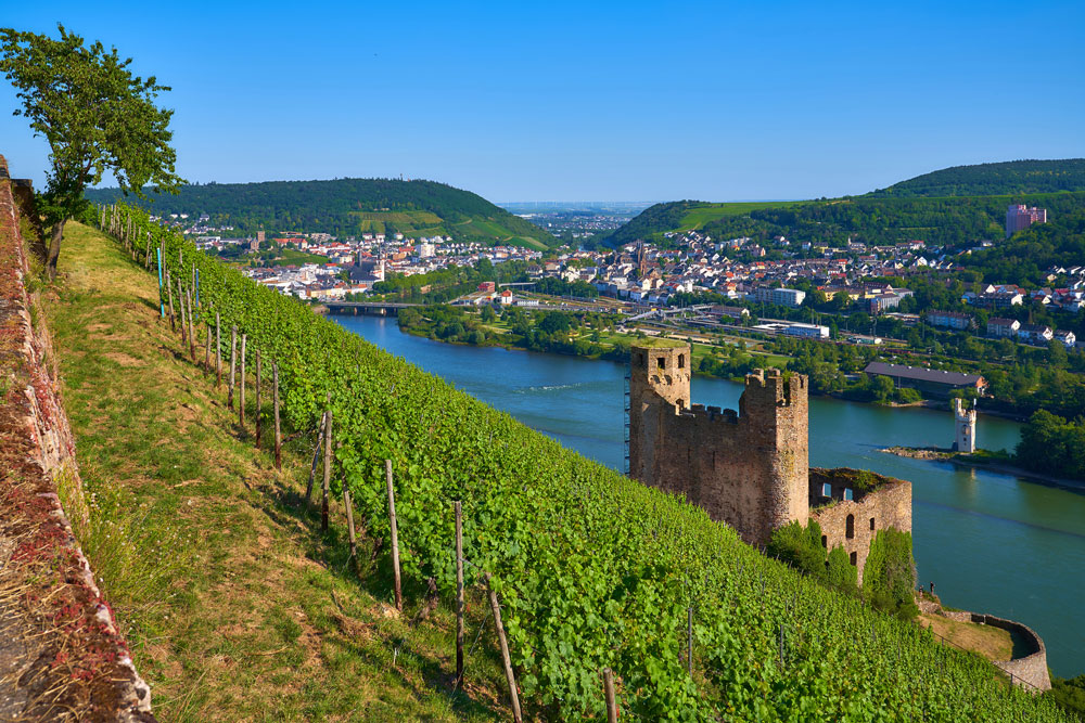 Bingen